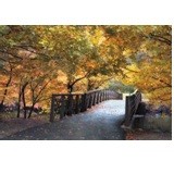 02 ART SUPPLEMENT (02) -JNY04