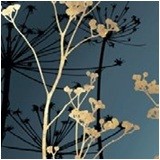 02 ART SUPPLEMENT (13) -WSN75-76